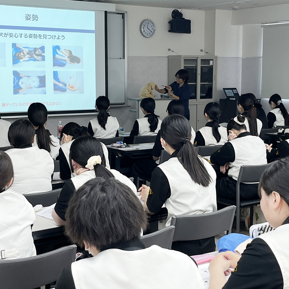 犬の行動学を学びます！